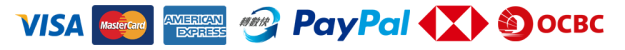 PAYMENTICON